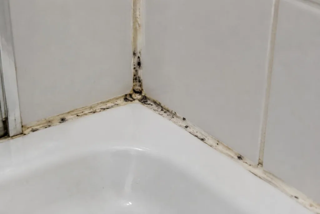 Kitbedrijf Bunschoten – beschimmelde kitranden